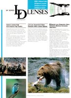 SP Adaptall-2 LD Lenses